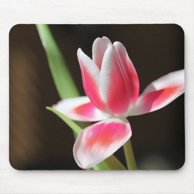 Tulip Mouse Pad (Front)