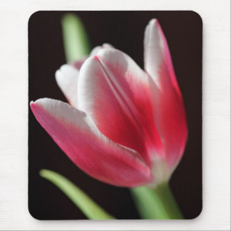 Tulip Mouse Pad