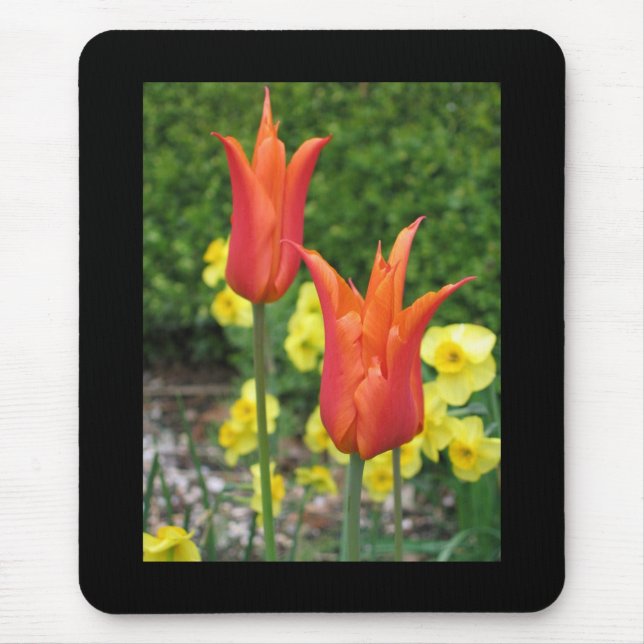 Tulip Mouse Pad (Front)