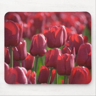 Tulip Mousepad