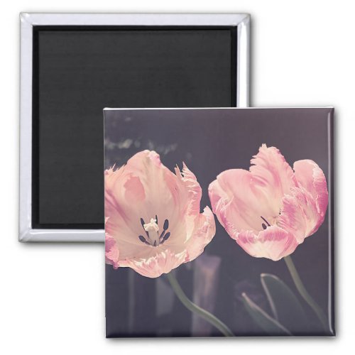 Tulip Nature Photo Magnet