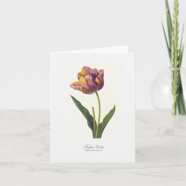 Tulip Note Card (Front)