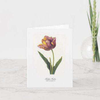 Tulip Note Card by grandjatte at Zazzle