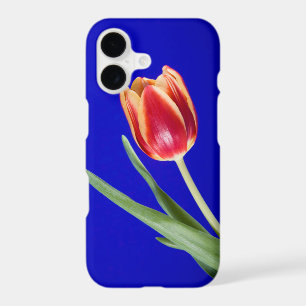 Tulip on blue background iPhone 17 case