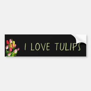 Tulip Painting - Original Flower Art Bumper Sticker
