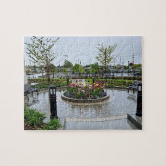 Tulip Patch and Benches in the Rain