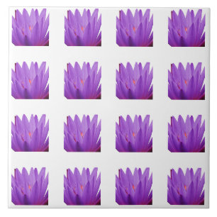 Tulip Pattern Ceramic Tile