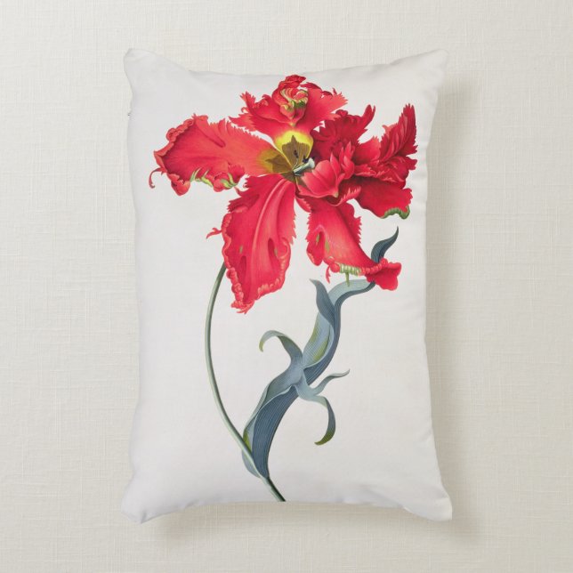 Tulip: Perroquet Rouge Accent Pillow (Front(Vertical))