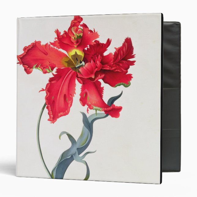 Tulip: Perroquet Rouge Binder (Front/Inside)