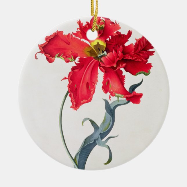 Tulip: Perroquet Rouge Ceramic Ornament (Front)