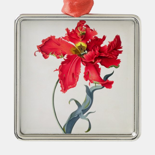 Tulip: Perroquet Rouge Metal Ornament (Front)
