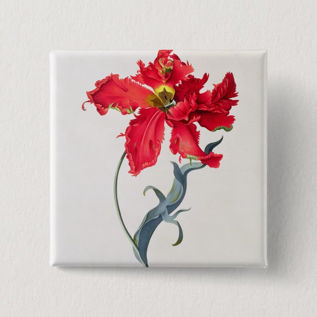 Tulip: Perroquet Rouge Pinback Button (Front)