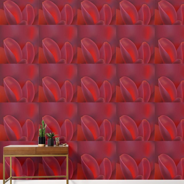 Tulip Petals Wallpaper (Hallway)