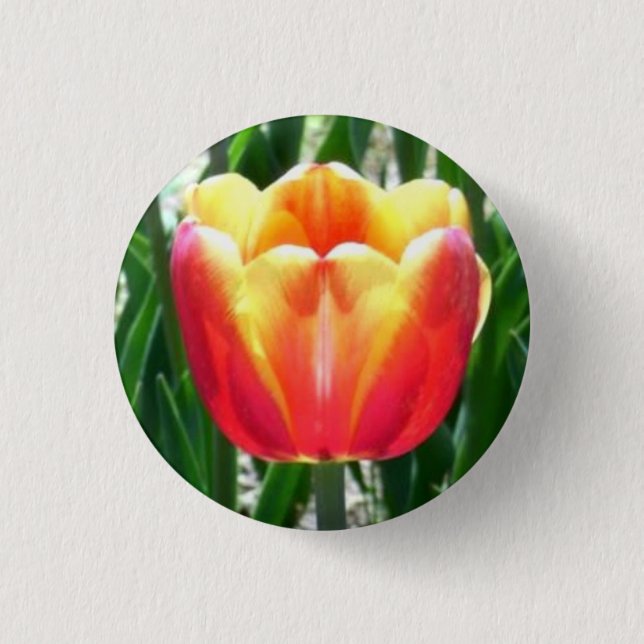 Tulip Pinback Button (Front)
