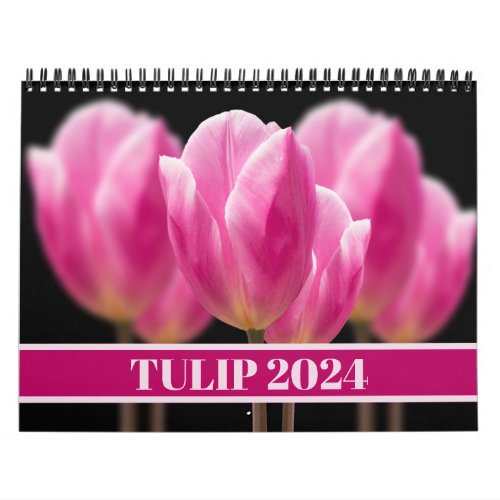 Tulip Pink Beautiful Holland Floral 2024 Calendar