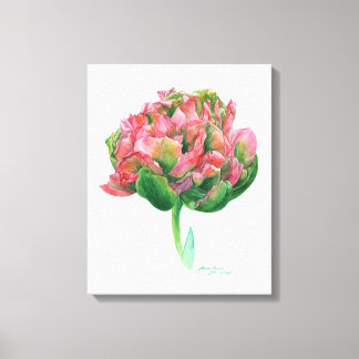 Tulip pink green Botanical watercolor Canvas Print