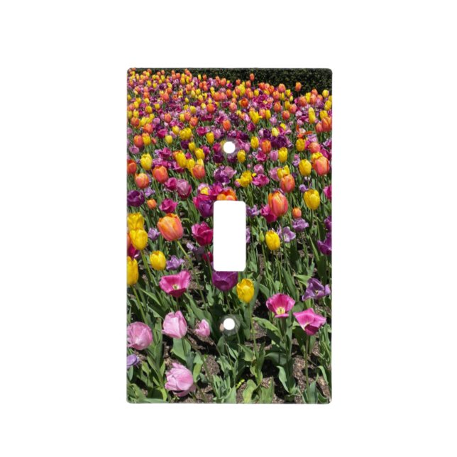 Tulip Pink Yellow Orange Green Spring Flowers Light Switch Cover (Front)
