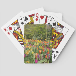 Tulip Poker Cards