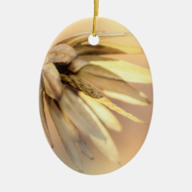 Tulip Poplar Empty Seed Pod Ceramic Ornament (Front)