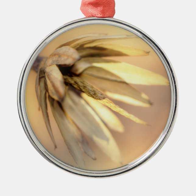 Tulip Poplar Empty Seed Pod Metal Ornament (Front)