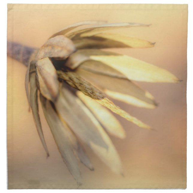 Tulip Poplar Empty Seed Pod Napkin (Front)