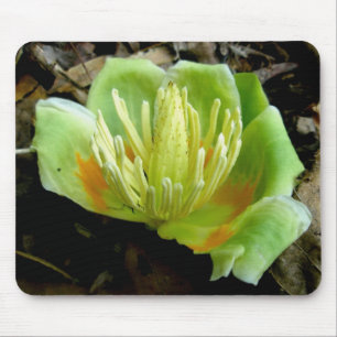 Tulip Poplar Flower Mousepad