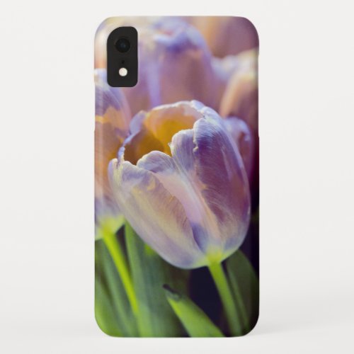 Tulip Portrait Restyle iPhone XR Case