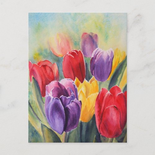 Tulip rainbow postcard