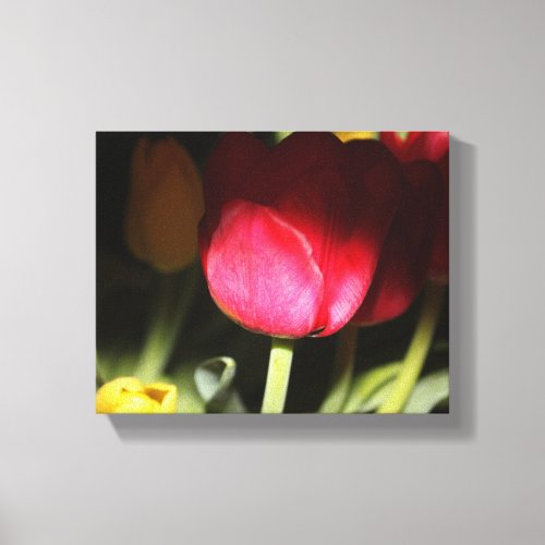 Tulip Red  Yellow Canvas Print