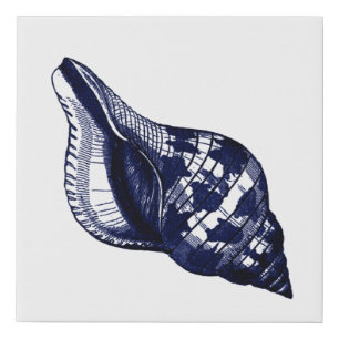 Tulip Seashell in Blue Faux Canvas Print