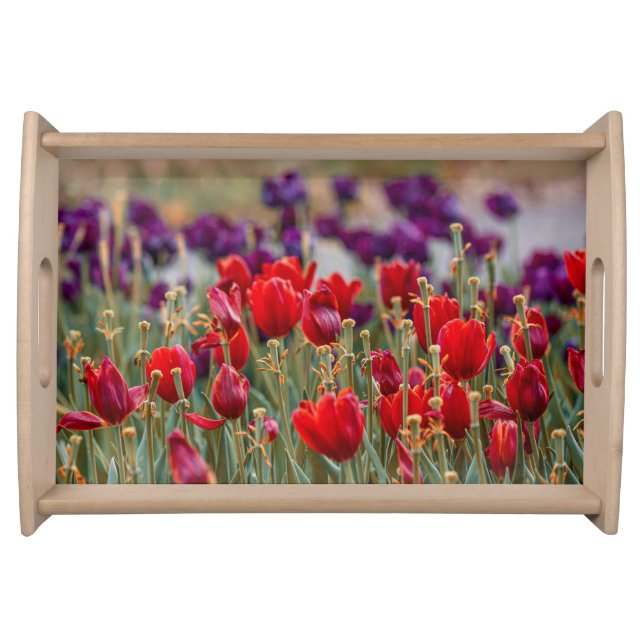 Tulip serving tray  (Front)