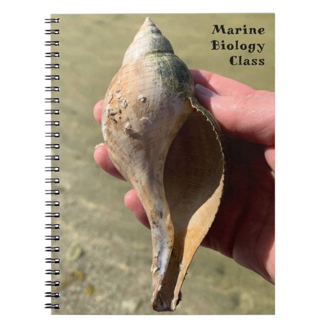 Tulip Shell Marine Snail Photography Custom Title  Notebook (Front)