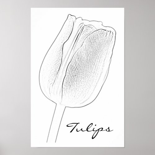 Tulip Sketch Poster