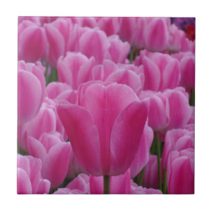 Tulip Small (4.25" x 4.25") Ceramic Photo Tile