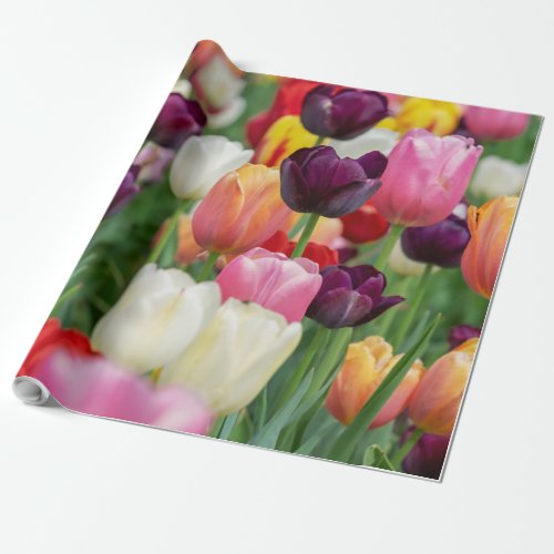 Tulip Spring Flowers Garden Floral Yellow Pink Red Wrapping Paper