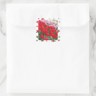 Tulip Square Sticker