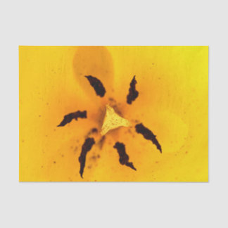Tulip stamen and pollen tissue paper