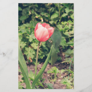 Tulip Stationery
