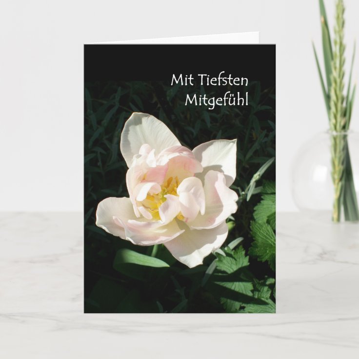 'Tulip' Sympathy Card German Greeting Zazzle