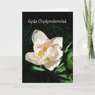 'Tulip' Sympathy Card - Welsh Greeting