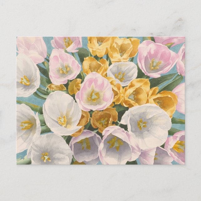 Tulip Tantrum postcard (Front)