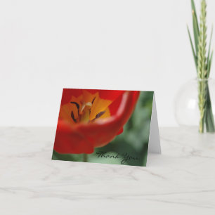 Tulip thank you, by H.A.S. Arts Letterpress Thank You Card