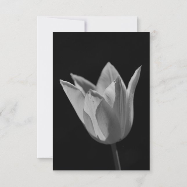 Tulip Thank You Card (Front)