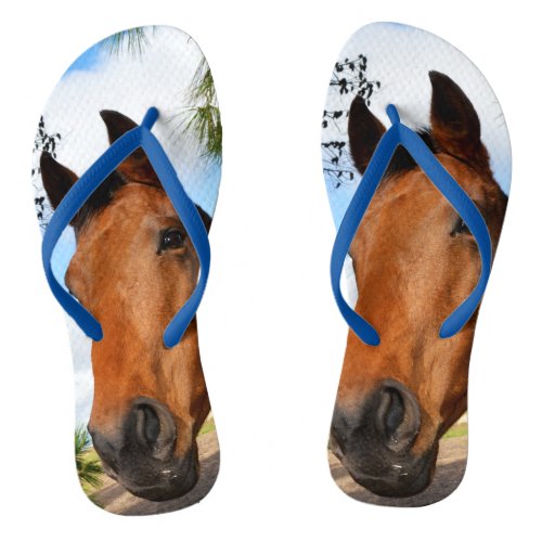 Tulip The Brown Bay Horse Blue Flip Flops