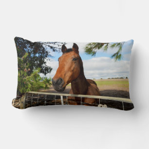 Tulip The Brown Bay Horse, Lumbar Pillow