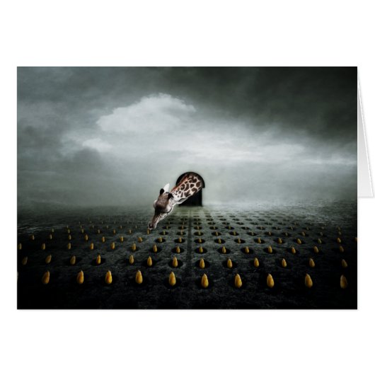 tulip thief 2 2013 cards (Front Horizontal)