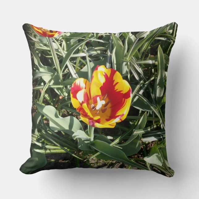 Tulip  throw pillow (Front)