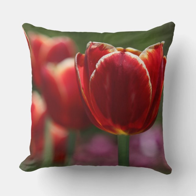 Tulip throw pillow (Front)