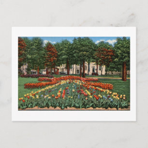 Tulip Time Holland, Michigan Postcard