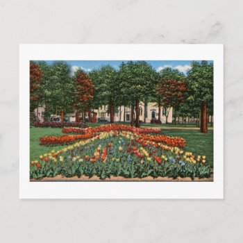 Tulip Time Holland  Michigan Postcard by scenesfromthepast at Zazzle